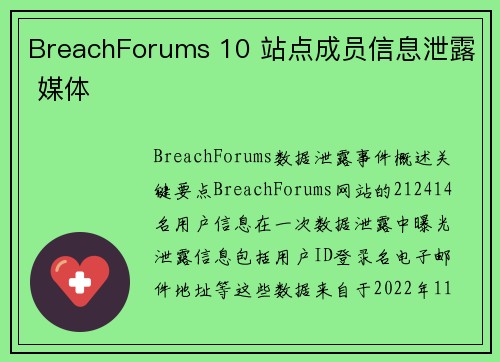 BreachForums 10 站点成员信息泄露 媒体